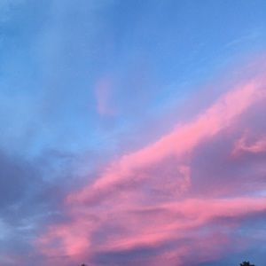 Meet your Posher, Bella